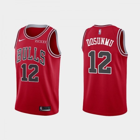 Men's Chicago Bulls #12 Ayo Dosunmu Red Stitched Basketball Jersey