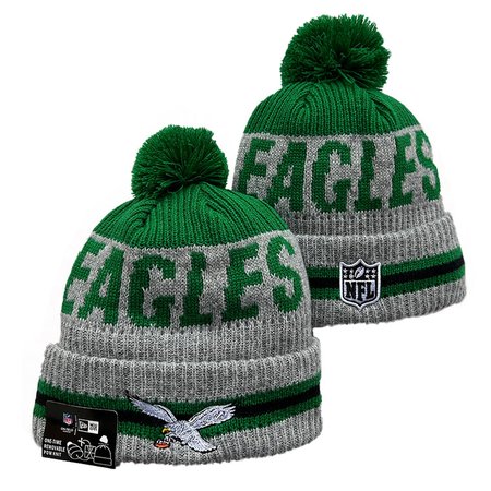 Philadelphia Eagles Knit Hat